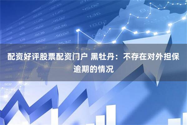 配资好评股票配资门户 黑牡丹：不存在对外担保逾期的情况