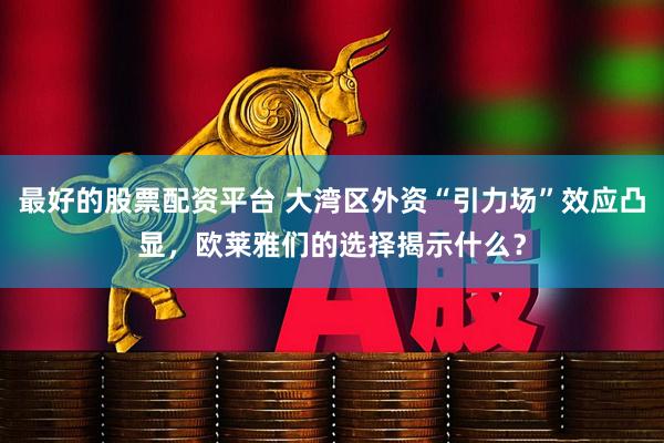 最好的股票配资平台 大湾区外资“引力场”效应凸显，欧莱雅们的选择揭示什么？